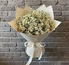 Букет цветов из:  Ромашки #REPLACE_PRED# Новкусе-Артезиане