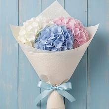 Букет цветов из:  Гортензия в Новкусе-Артезиане