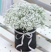 Цветочная композиция из Гипсофила в шляпной коробке #REPLACE_PRED# Новкусе-Артезиане